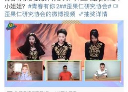 国产视频青,青春记忆中的光影传奇