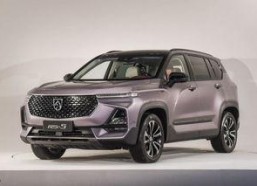 国产精品2019,匠心独运，品质卓越的年度盘点