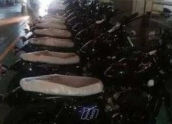 国产gv,探索东方美学与视觉盛宴的完美融合